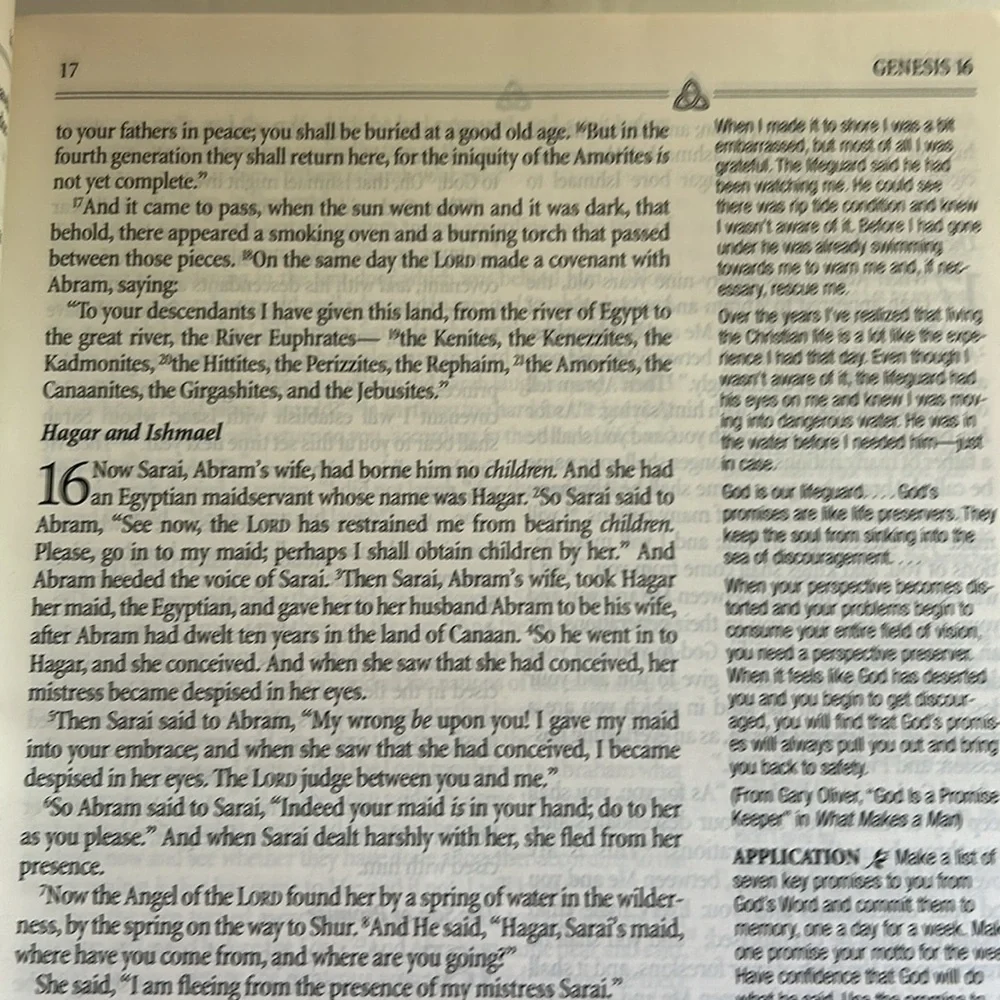 Inspirational Study Bible - Picture 5 of 9